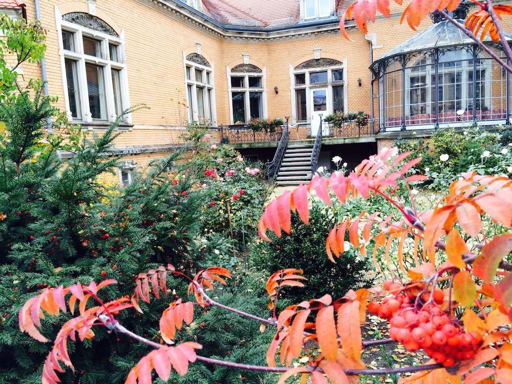 Pension Sanssouci Potsdam Szoba fotó